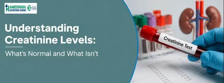 Understanding Creatinine Levels 1